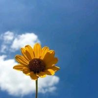 suara asli - Irma Andri Yani