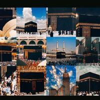 shehri423