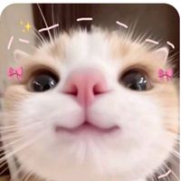 melanie.0053