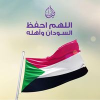 safeeahmed3620