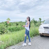 lyly4126
