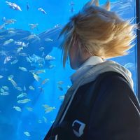 nhạc nền - 🦢