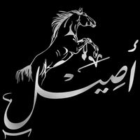الصوت الأصلي