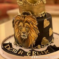 demircelik__060606_