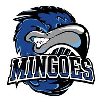 gomingoes