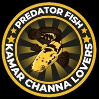 suara asli - kamarchannalovers