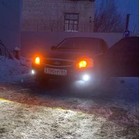 musl1m55