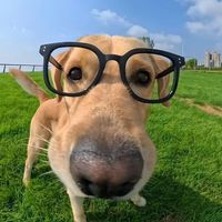 nhạc nền - Văn Thái✨