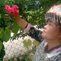 เสียงต้นฉบับ - Ntaub Lauj