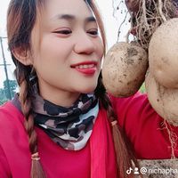 nichaphat373