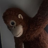 오리지널 사운드 - 연애할때까지올릴게요