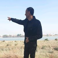 الصوت الأصلي