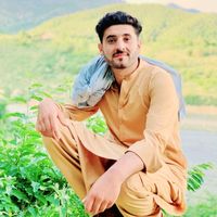 mudasir__gull