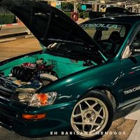 wutt677