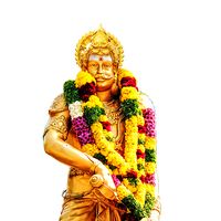 tn49pattukkottai8