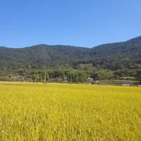 original sound - user675208625434