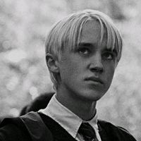 lafidanzatadimalfoy1