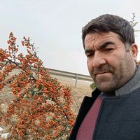_hanif_kaya5