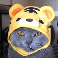 オリジナル楽曲 - せなとら