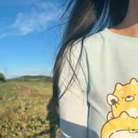 булочки