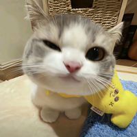 pearlifestyle25