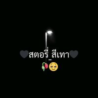 เสียงต้นฉบับ - สตอรี่สีเทา