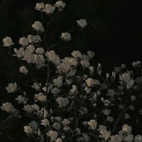sad_artist_13