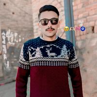 asad_tiger