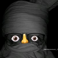 الصوت الأصلي