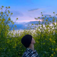 original sound - hudsonfilms__