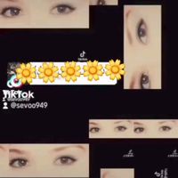 sevoo0116