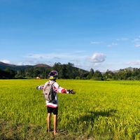 suara asli - P A Y N O ED