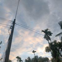 userprirtiq9lg