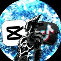 anuar.fazliu6