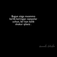 gulim5640