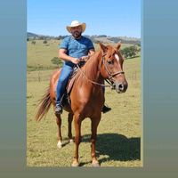 nandinhoherdeirodagratid