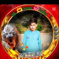 anas.afridi206
