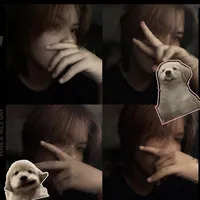 หมาเด็กอ้วน