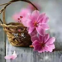 original sound - xinalio