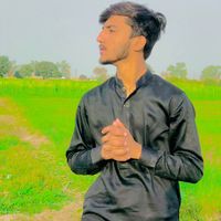 haseebrajpot08