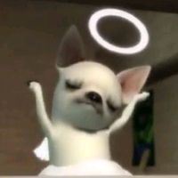 ubub_2z