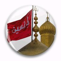hz.hussain.a.s.313