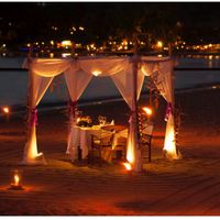 island_of_love06