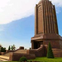 elnur884