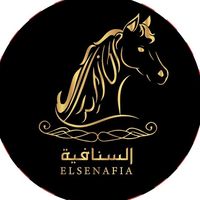 noura_1lll
