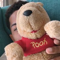 palomino_gd