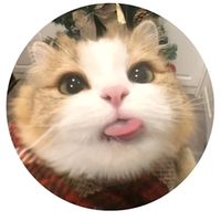 kodsakonesvn