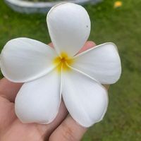 roshni_761