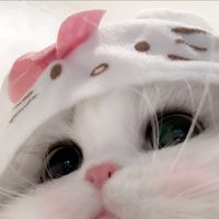 原聲 - jiaaaa