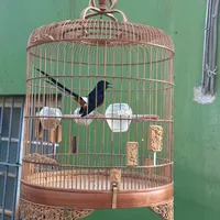 original sound - lecongtuan37